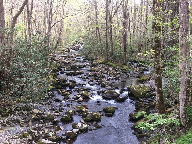Porters Creek is a welcome companion along the trail.