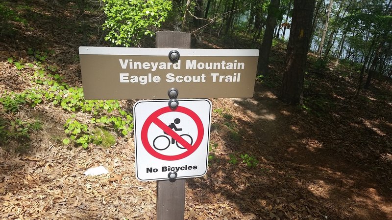 The southern trailhead of the Vineyard Mountain Eagle Scout Trail System is marked by this nice sign.