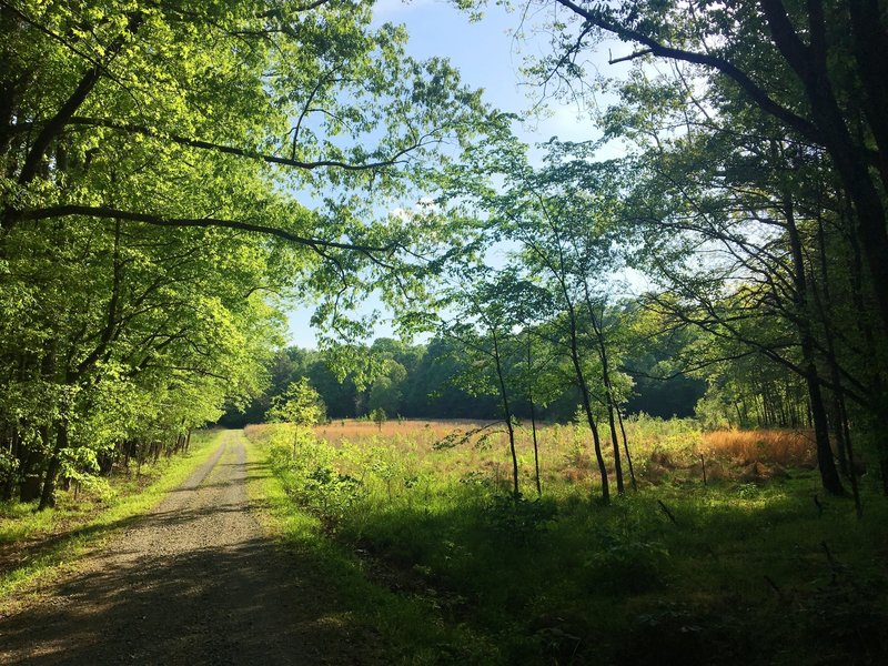 Fallow farmland creates beautiful scenery along the trail.