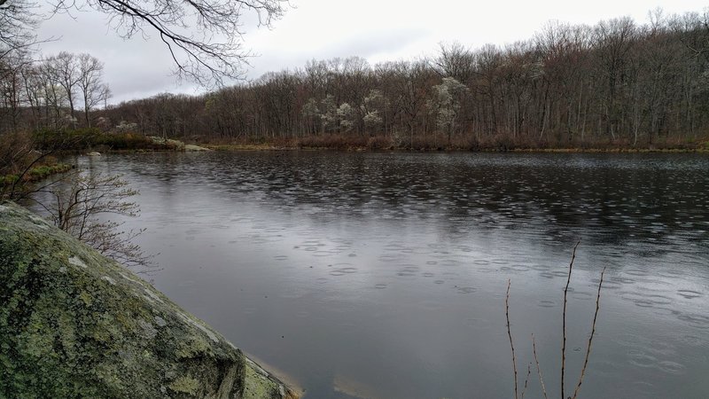 Weldon Brook Lake is a great place to spy turtles, ducks, water snakes ...