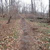 The trail after leaving Allison Park.