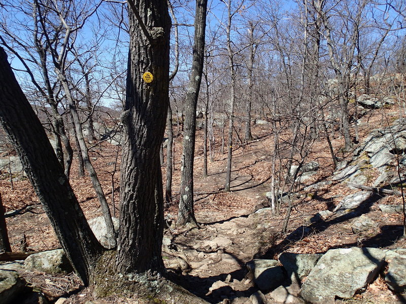 A view of Undercliff Trail.