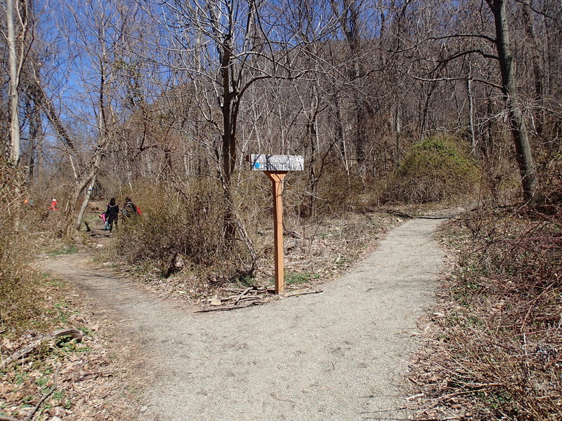 Washburn Trail heads to the right from this junction.