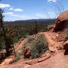Mescal Mountain offers phenomenal views of the expansive forests around Sedona.