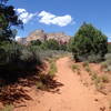 Long Canyon Trail traverses a beautiful tread, allowing you to focus more on the views and less on your feet.