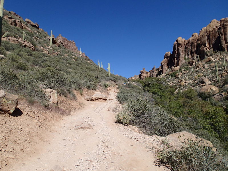 The Peralta Canyon Trail transitions from the canyon floor to the sidehill intermittently.