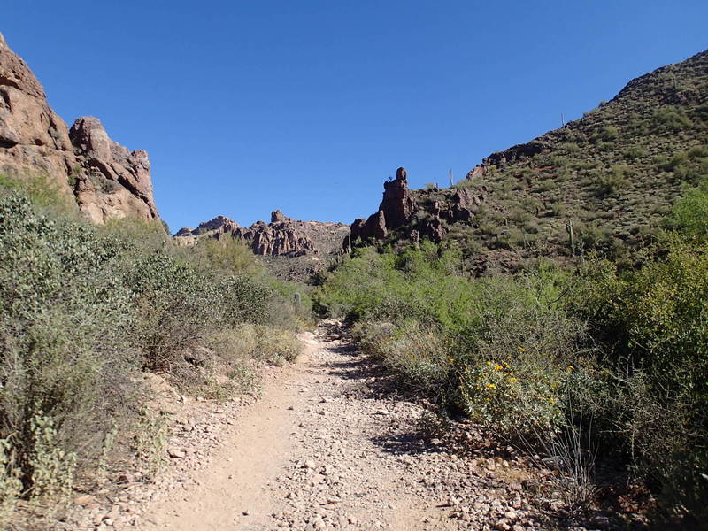 Peralta Canyon Trail offers an awesome backcountry experience amidst