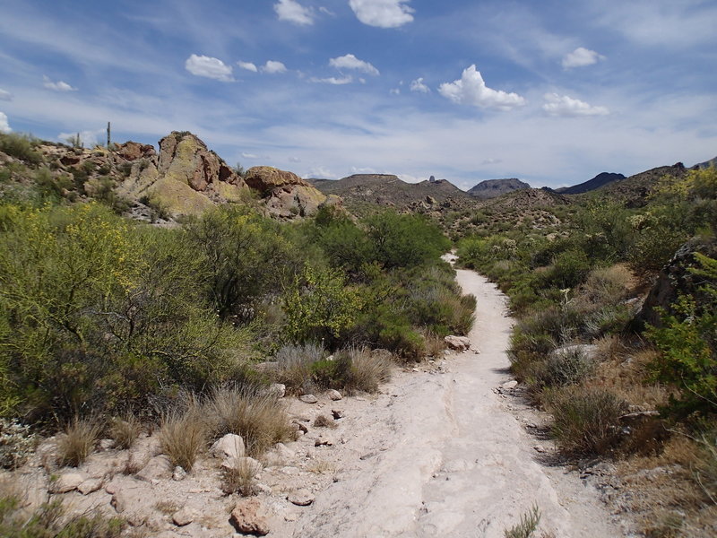 The Second Water Trail traverses gorgeous country in the Superstition Wilderness.