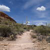 The Second Water Trail offers plenty of cacti, gorgeous views, and complete solitude along its mixed tread.