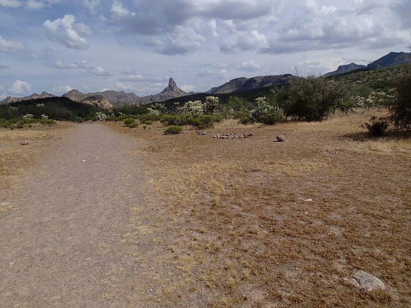 Often there can be great campsites along the Black Mesa Trail.