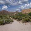Enjoy expansive views from the Black Mesa Trail - Dutchman Trail junction