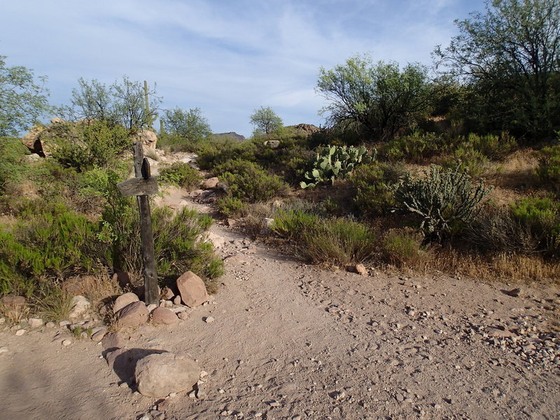 Keep an eye out for the Second Water Trail – Dutchman Trail junction.