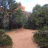 Boynton Canyon Trail has a smooth tread that allows you to take your eyes off the trail and enjoy your surroundings.