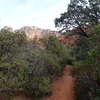 Boynton Canyon Trail offers great looks at the local area geology.