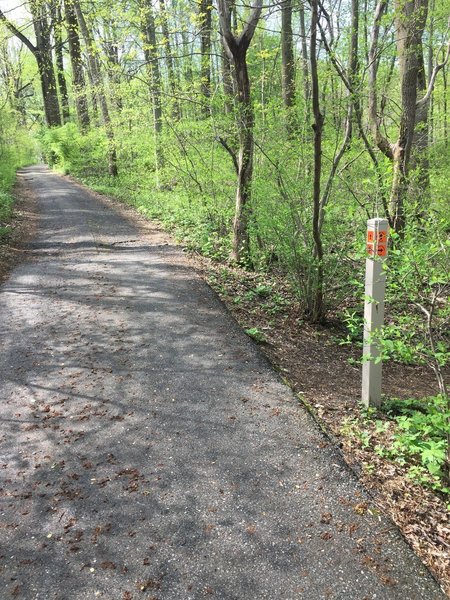 Trail junction on the Wendell Cassel Trail.