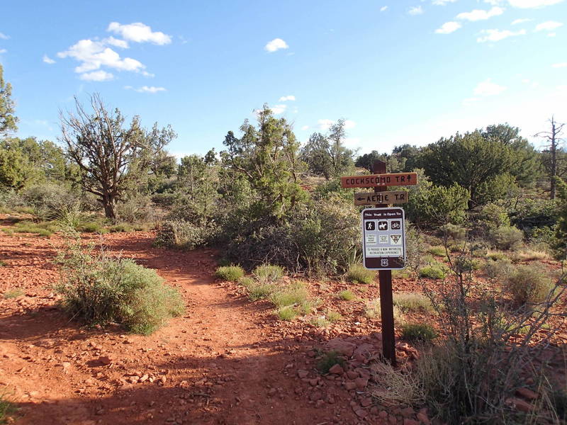 The Cockscomb Trailhead is well marked and easy to find from the parking area.