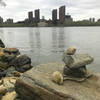 The view across Harlem River towards E. 108th St from Water's Edge Garden path.