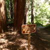 The trailhead sign at the start of the loop portion.