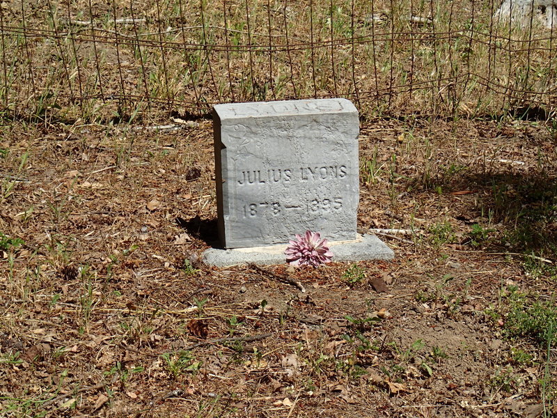The Lyons Family Cemetery pays homage to the family members that worked this land over a hundred years ago.