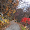 Undercliff Carriage Road is gorgeous in the autumn.