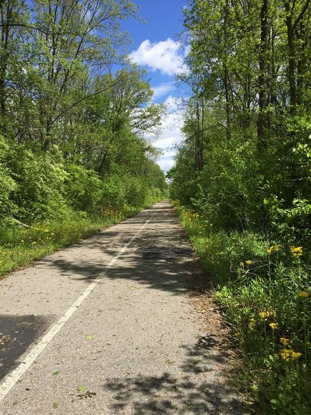 The B&O Trail (East) is beautifully paved.