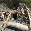 Keep your eyes peeled for driftwood forts on Klamath Beach!