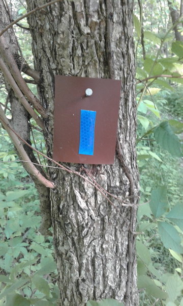 Follow brown blazes with blue reflectors if going clockwise.