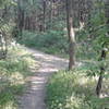 The trail makes a sharp right and follows blazes with the number three.