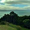 From Mt. Victoria Lookout, you can view Outer Wellington Harbor on the way to the channel and Cook Strait.