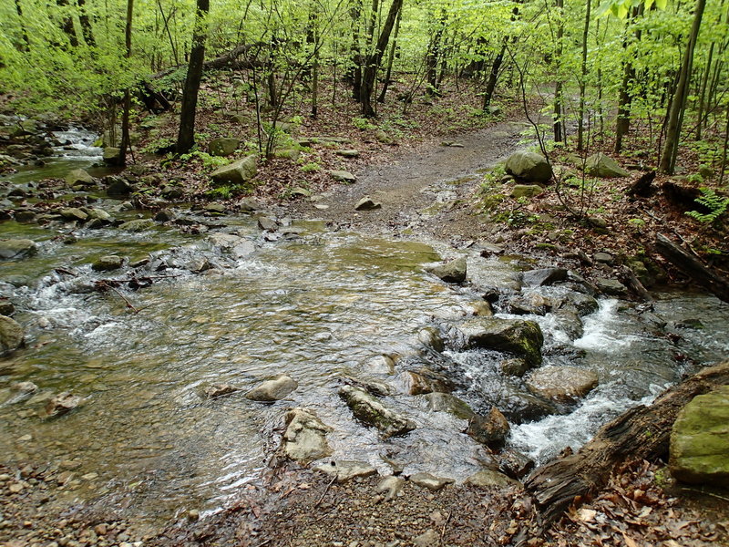 Gordons Brook is quite scenic in the spring.