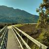 Starting off on Abel Tasman Track, enjoy this sturdy bridge and awesome views.