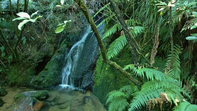 A waterfall cascades along the Abel Tasman Track.