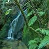 A waterfall cascades along the Abel Tasman Track.