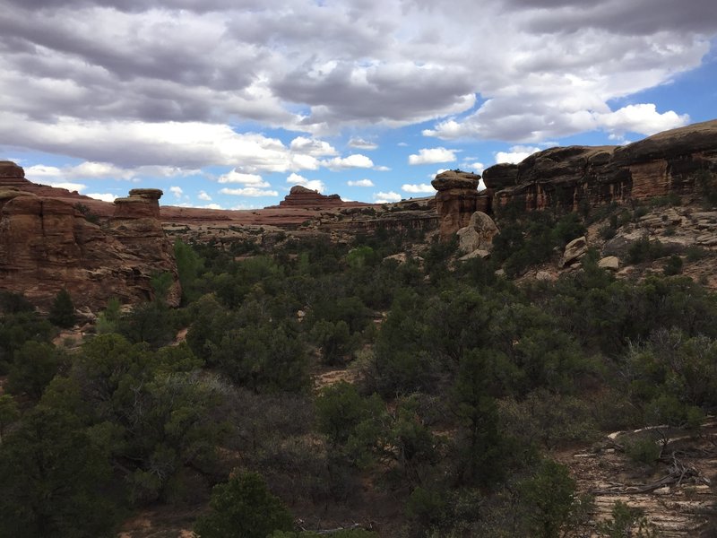 A nearby view overlooking Squaw Canyon 1 - Needles Campground.
