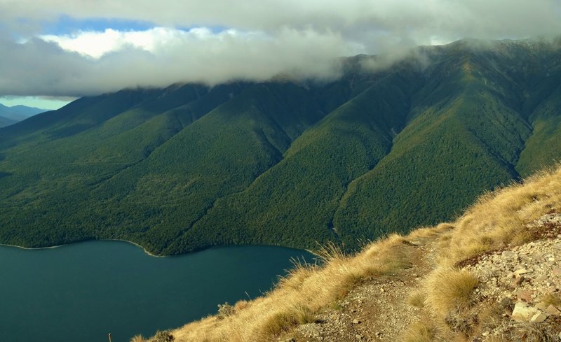 High on Paddy's Track, look down at Lake Rotoiti and the forested hills on its far side.