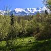 Mount Timpanogos stands prominently in the distance.