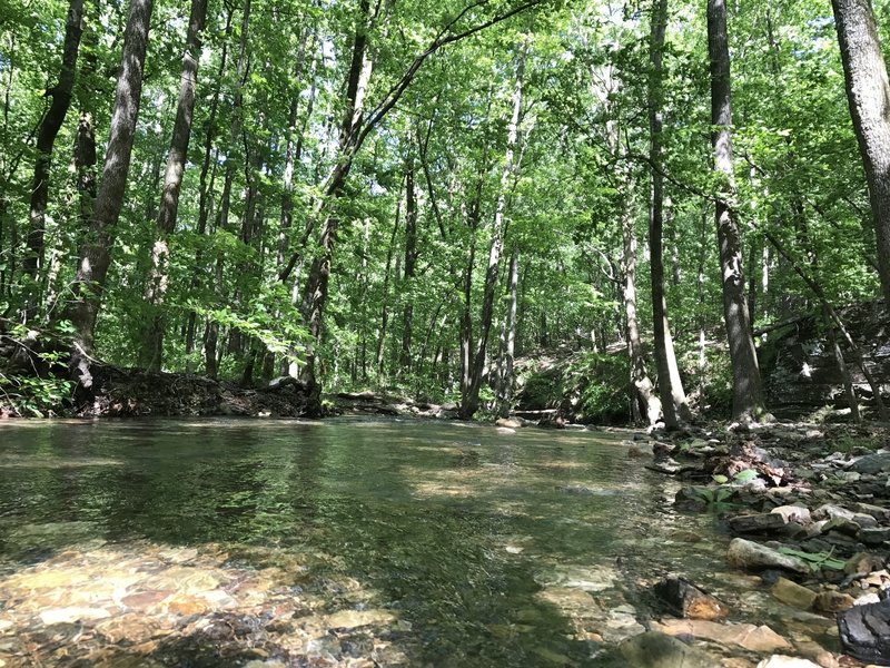 This is the first major creek crossing you'll pass on the Caney Creek Trail starting from the east trailhead.