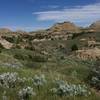 The Painted Canyon Trail is worth checking out in Theodore Roosevelt National Park.