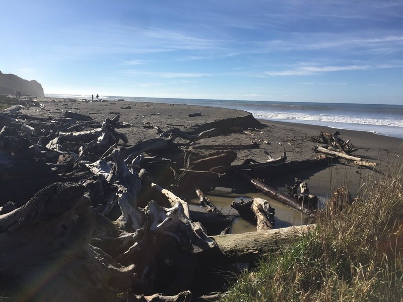 Navigate the driftwood obstacle course to enter Fleener Creek Beach.
