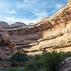 Domes of the Navajo Sandstone peek out from behind the canyon walls.