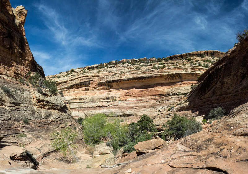 The Bullet Canyon walls reach up to 600 feet here!