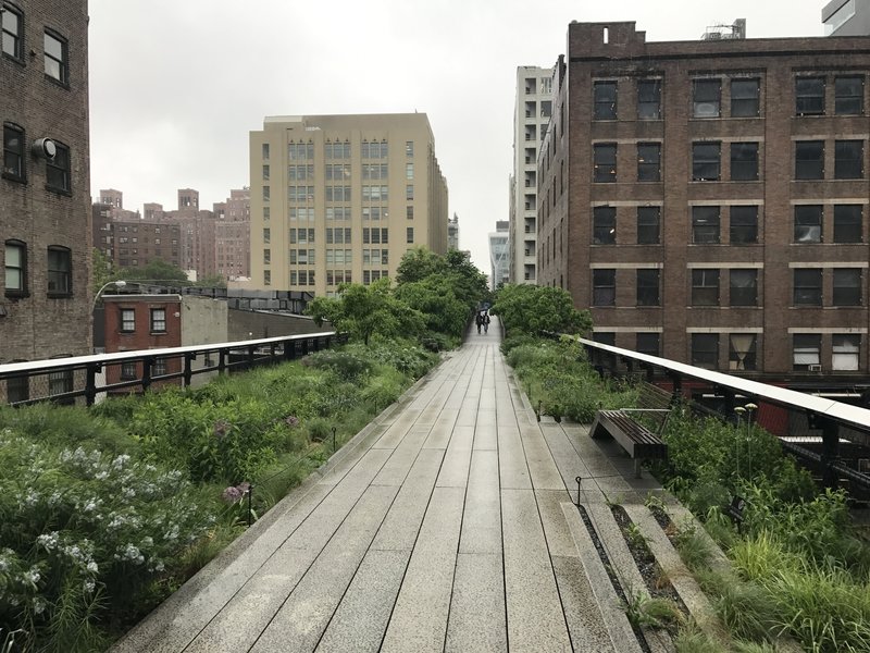 An unusually empty High Line provides a totally different experience on a rainy weekday.