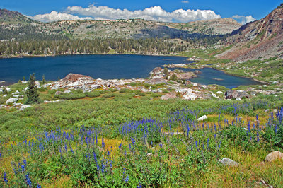 emigrant wilderness trails