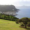 There's a great viewpoint and spot for a picnic near the start of the Cathedral Cove Track.