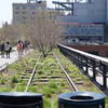 The old High Line rail tracks are a great day activity if you're in Manhattan.