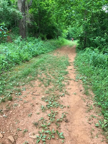 Red earth doubletrack on the Lower Meadow Trail in May.