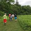 The group breaks out of the trees onto the Upper Meadow Trail along the wide, mowed path. Look out for poison ivy!