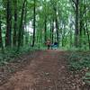 This is a typical stretch of wide, red dirt path on the Secluded Farm property.