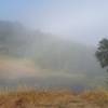 Morning fog rolls over Redfern Pond.