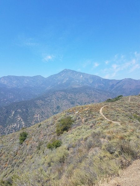 Take in great views of Saddleback Mountain from the Bell View Trail.